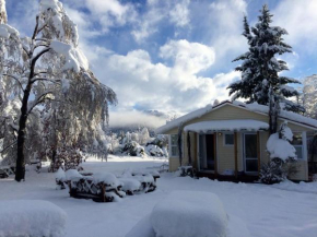 Tailor Made Tekapo Accommodation - Hostel